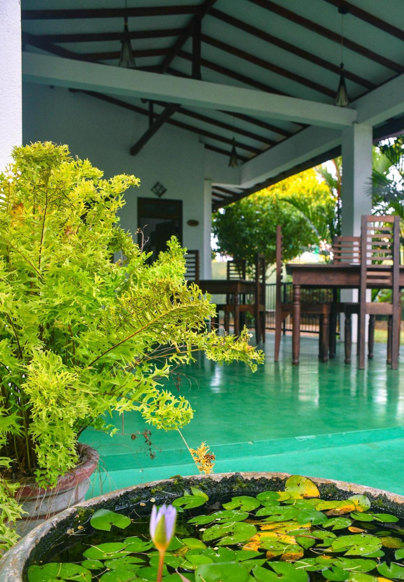 White Eagle Hotel Sigiriya Luaran gambar