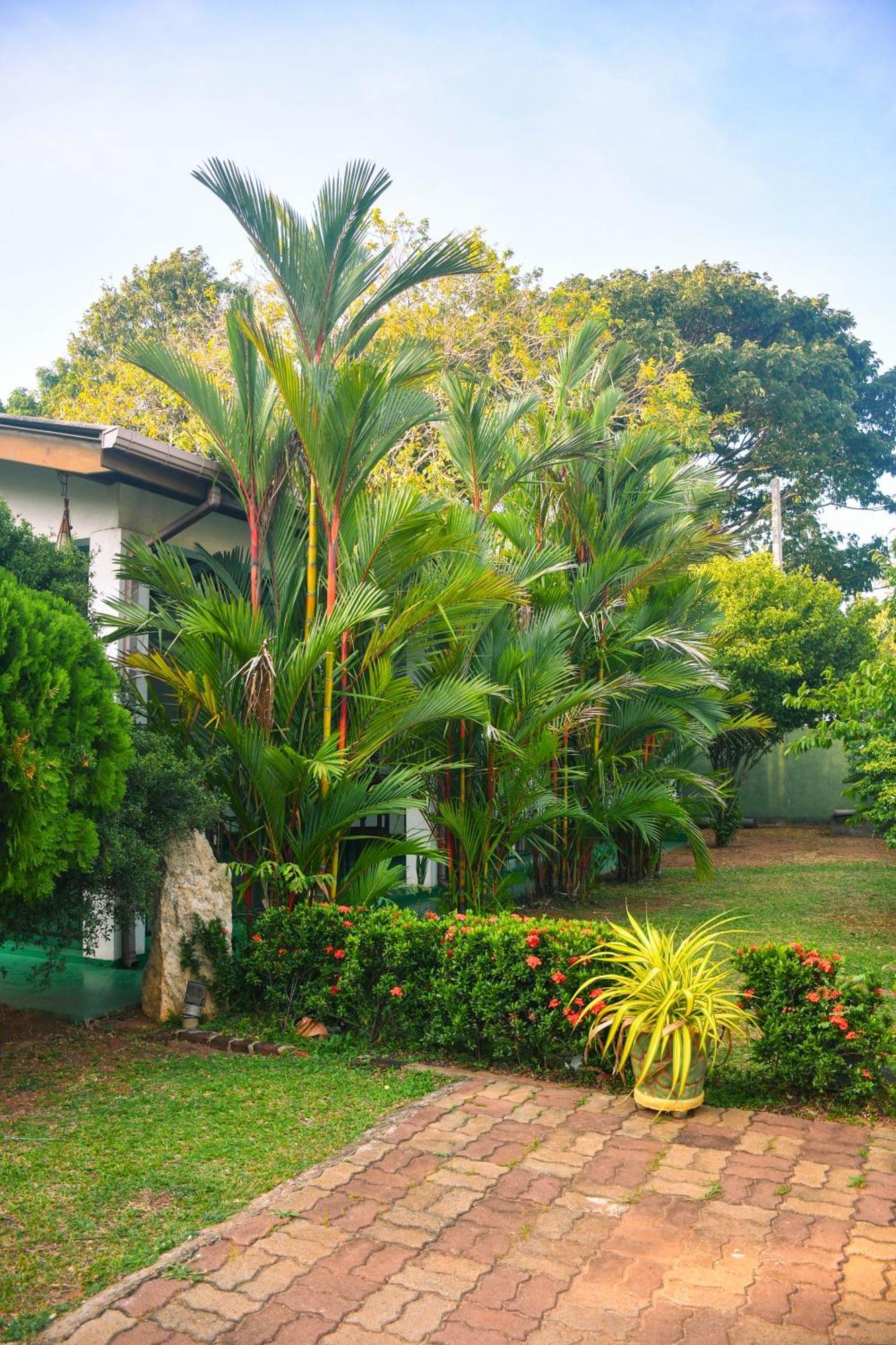 White Eagle Hotel Sigiriya Luaran gambar