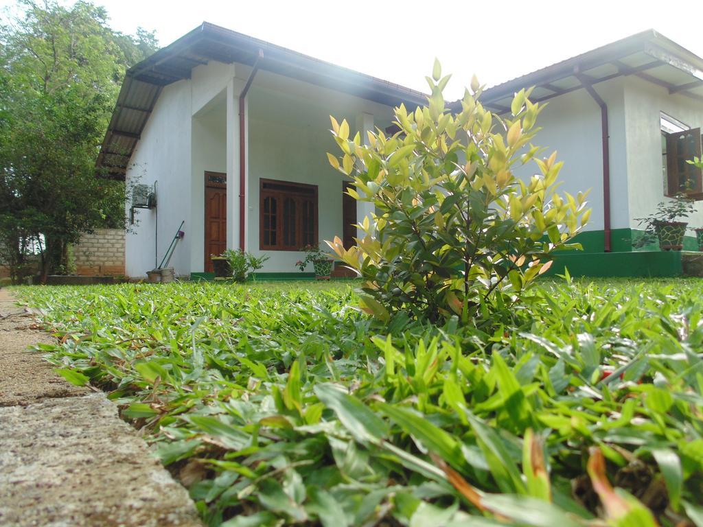 White Eagle Hotel Sigiriya Luaran gambar